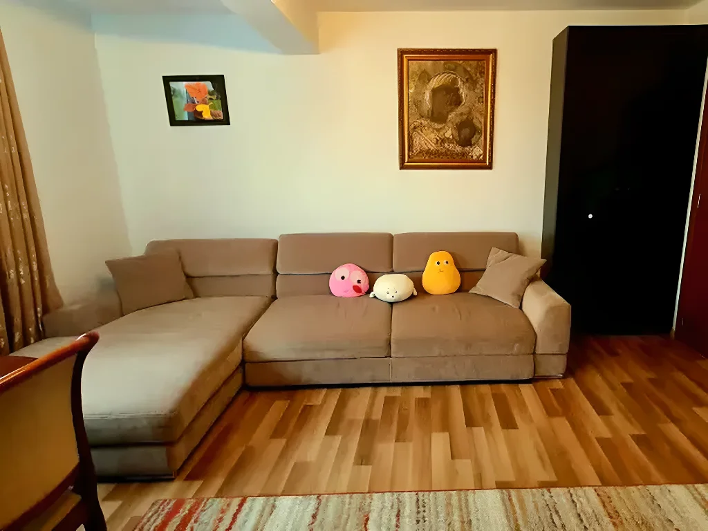 living luminos apartament vanzare cumparare Sector 3 București